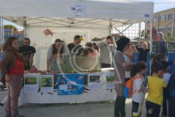 XIV Feria de la Salud de Las Remudas y La Pardilla (Foto TA)